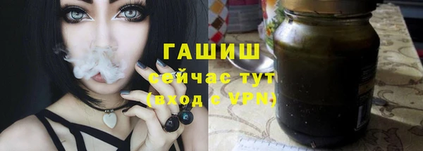 гидра Козловка