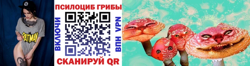 Галлюциногенные грибы прущие грибы  мега ONION  Кизляр 